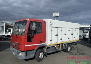 Trinacria Autoveicoli S.r.l. Autocarro Camion Furgone cassone frigo Iveco Eurocargo 65E12 FRIGORIFERO CONGELATO RRC ANNO 1994